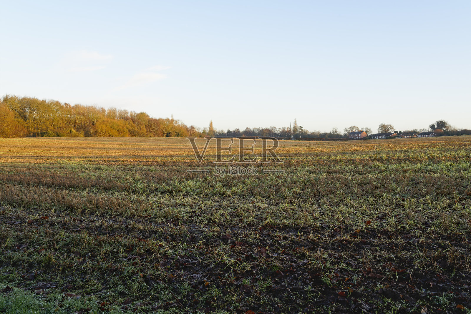 乡间明亮的冬日早晨照片摄影图片