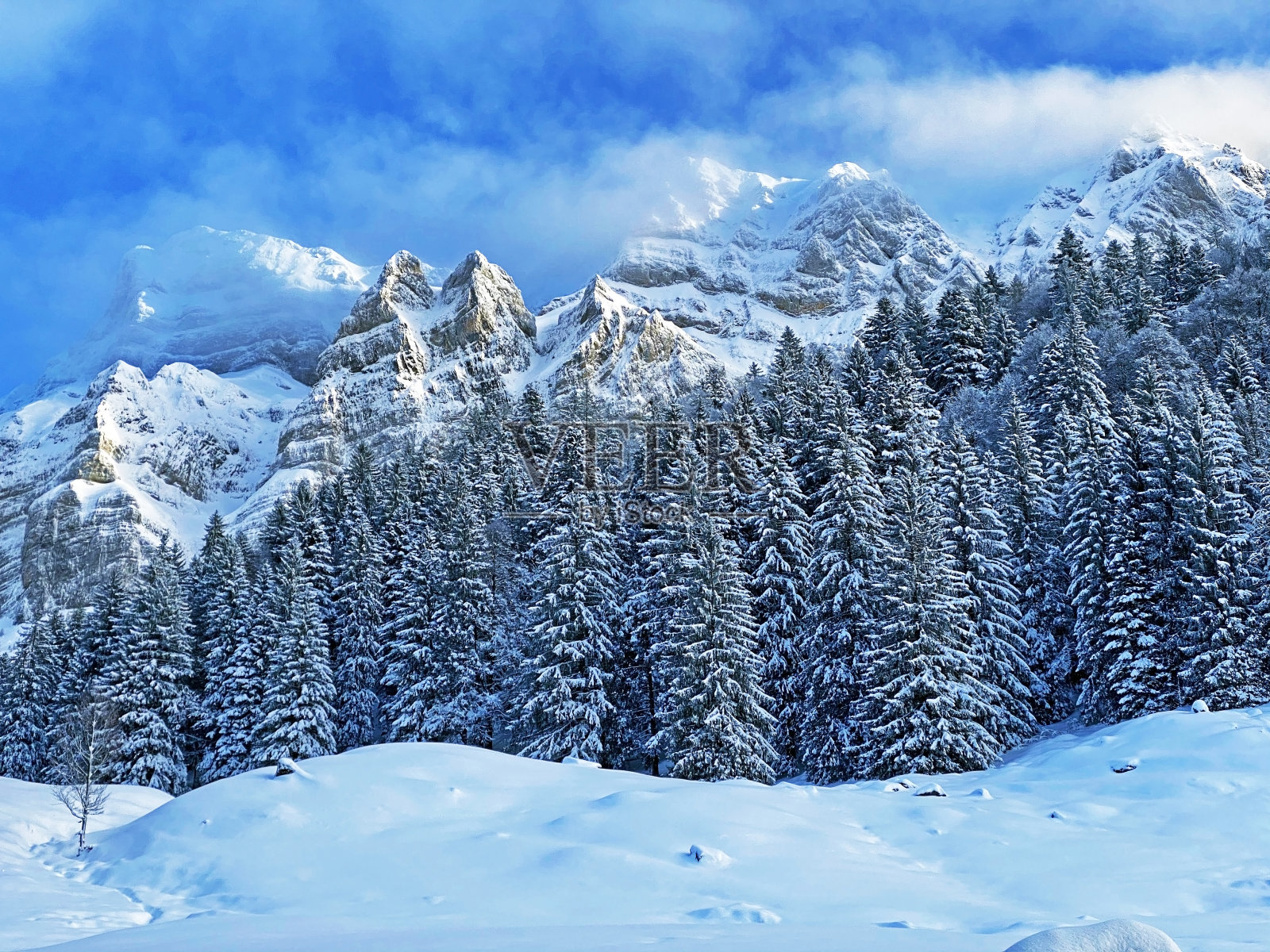 神秘的冬季气氛在阿彭策尔阿尔卑斯山脉山脉，Schwägalp山口阿彭策尔州阿彭策尔Ausserrhoden，瑞士(坎顿阿彭策尔，瑞士)照片摄影图片