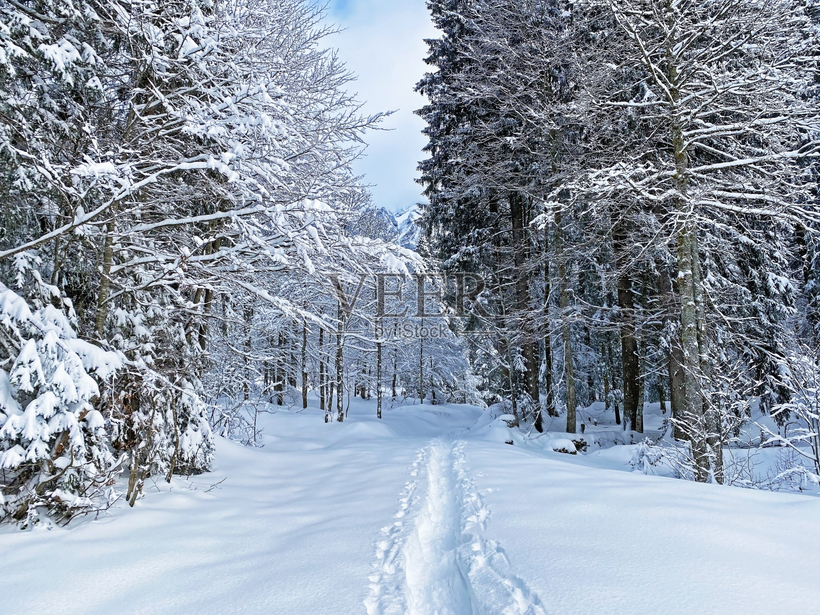 在瑞士阿尔卑斯山，Schwägalp山口-奥地利阿彭策尔州，瑞士(Kanton Appenzell, Schweiz)照片摄影图片