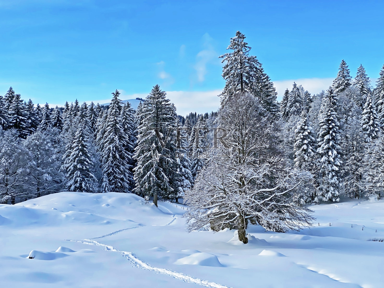新年前夕，瑞士阿尔卑斯山脉中心的冬季山脉气氛奇妙而完美，Schwägalp山口-瑞士阿彭策尔州(坎顿阿彭策尔，瑞士)照片摄影图片