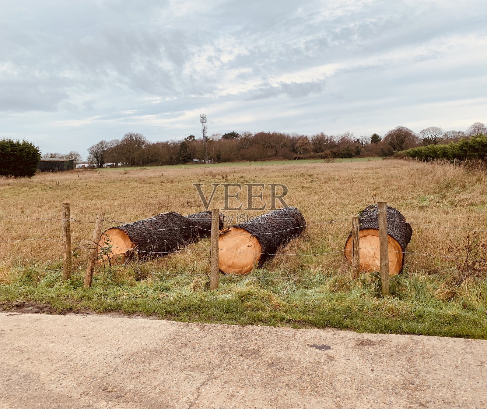 3日志照片摄影图片