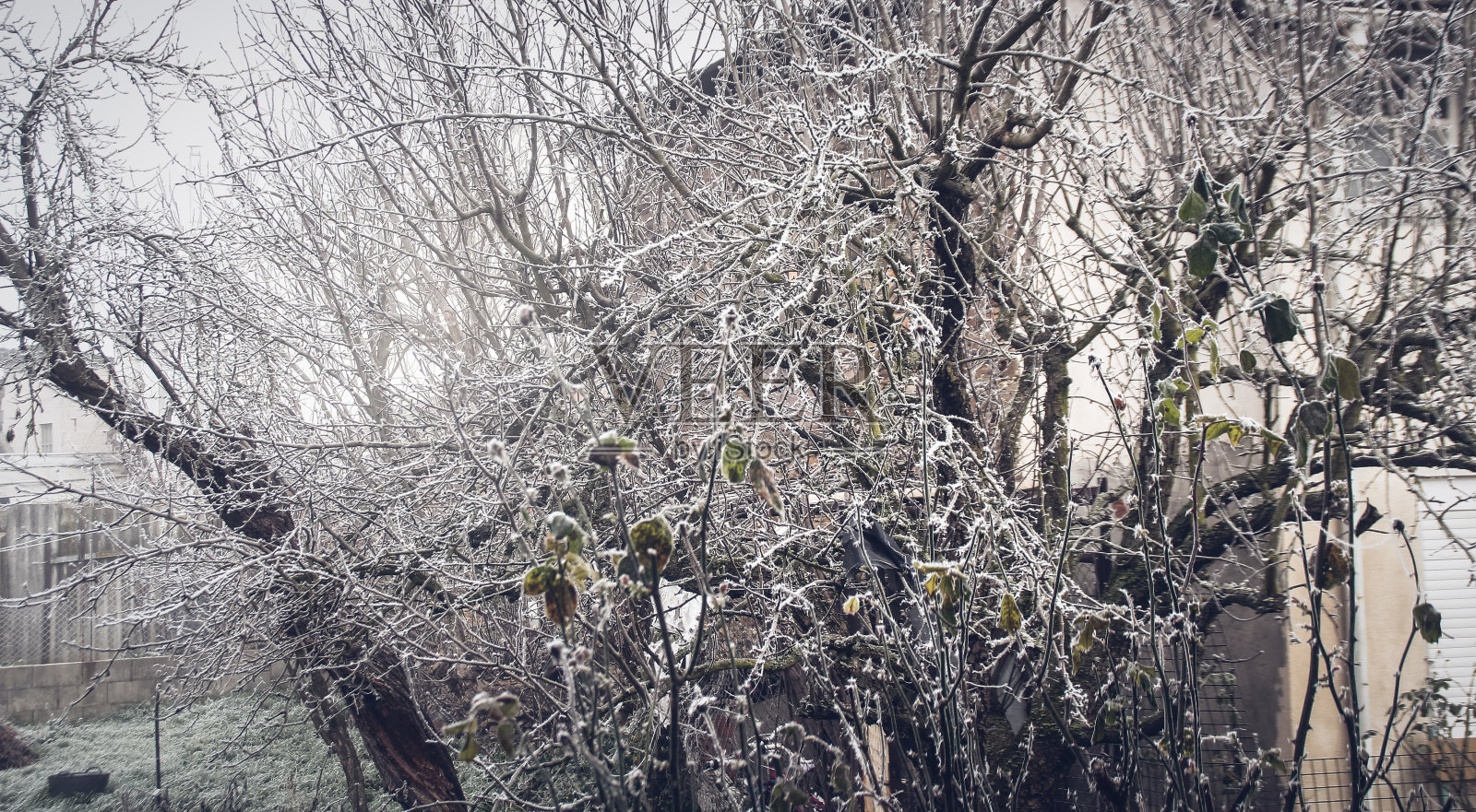 冰冻的景观照片摄影图片
