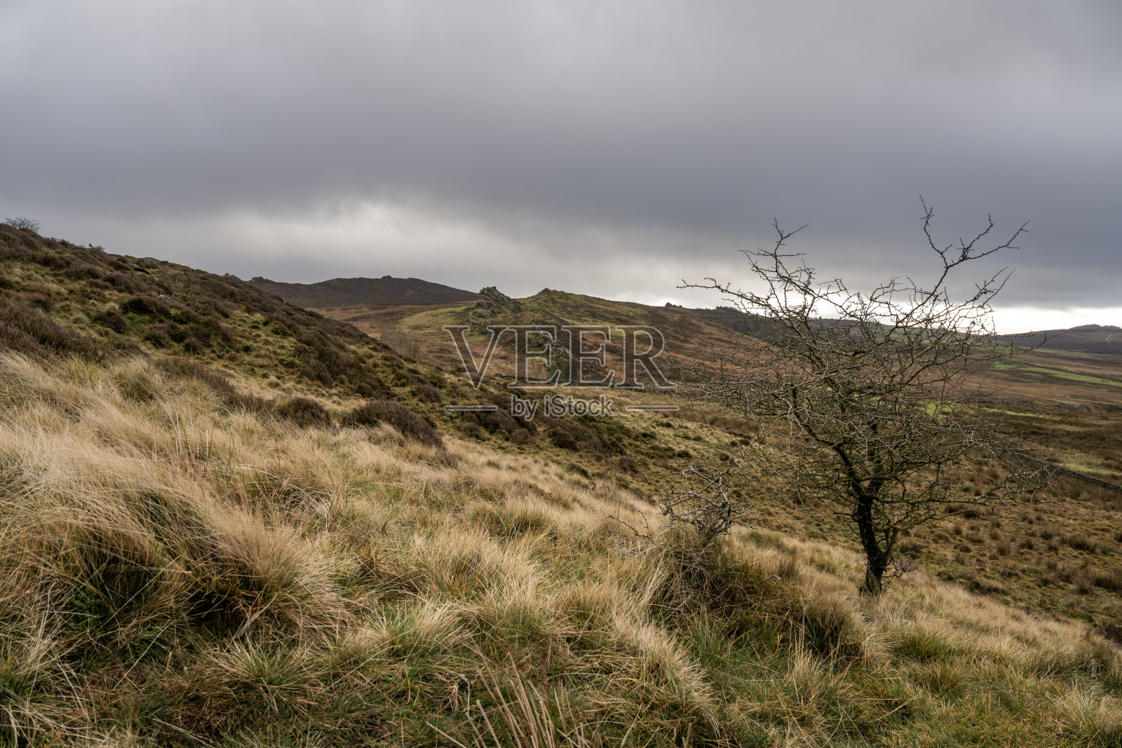 寒冷的冬天Gib Torr全景，和蟑螂在山顶地区国家公园。照片摄影图片
