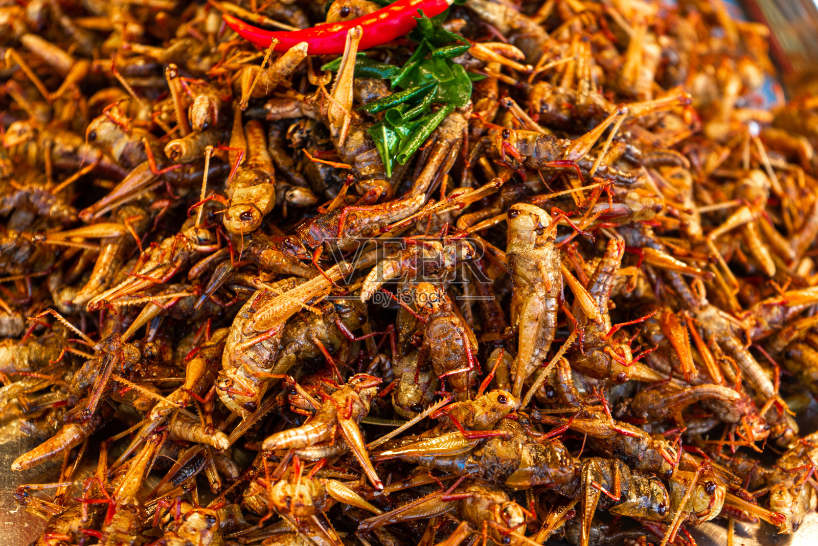 亚洲食品市场。一个卖油炸昆虫的柜台照片摄影图片