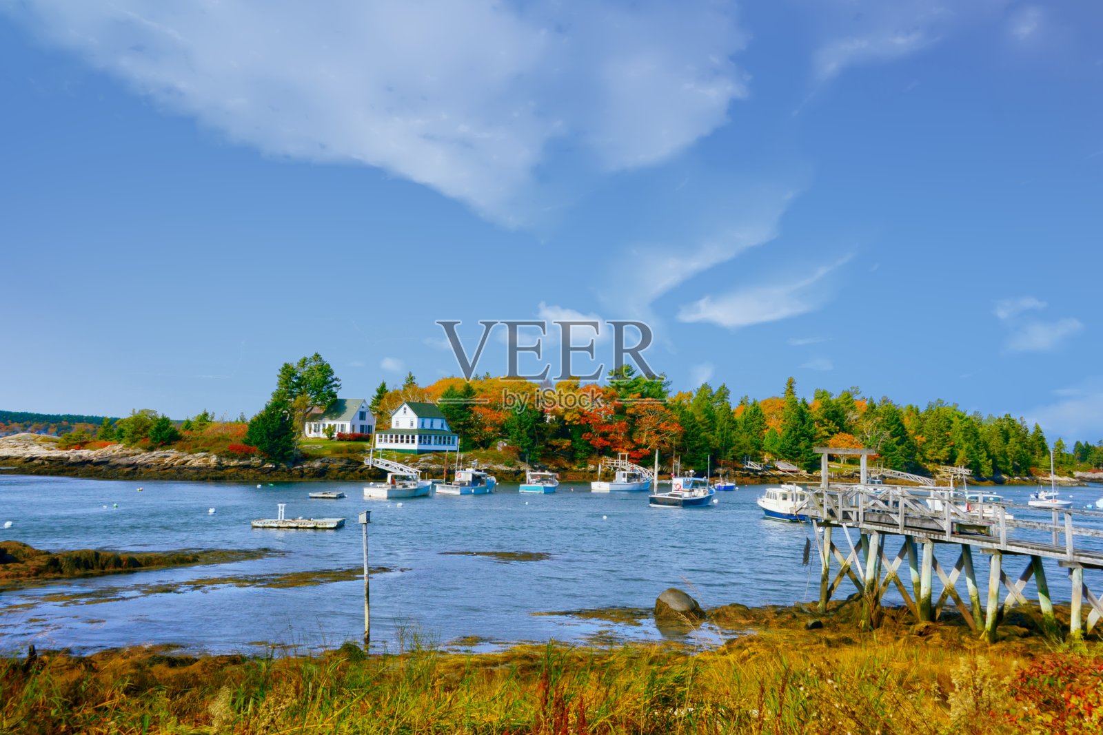 缅因州布思湾港附近的一个小海湾里的渔船照片摄影图片