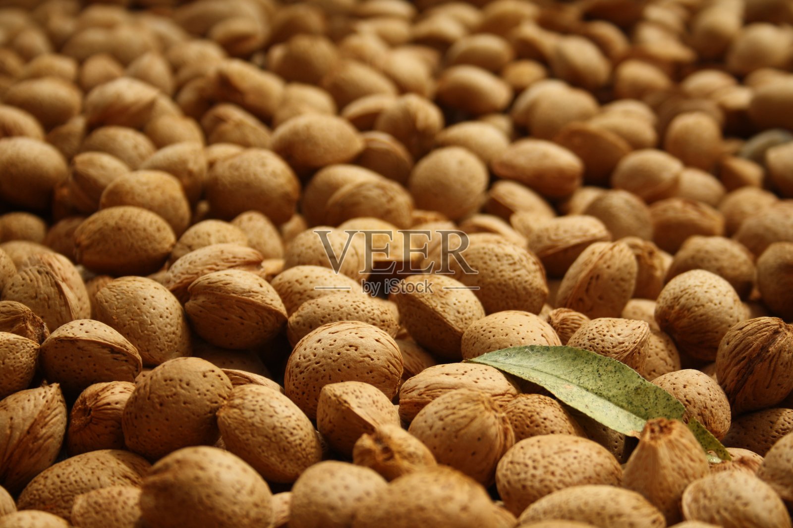 许多带壳和叶的杏仁照片摄影图片