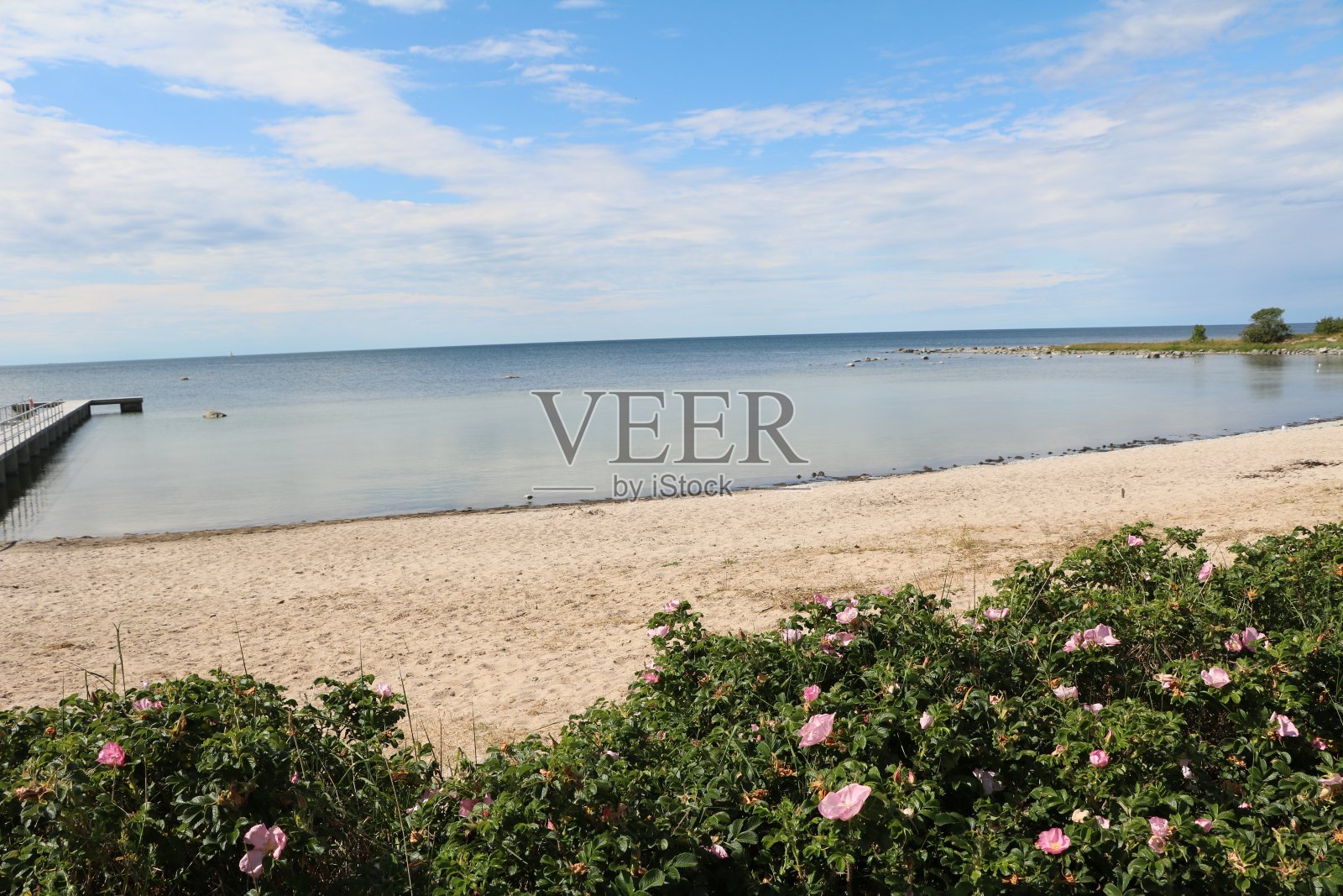 在瑞典哥特兰岛度假照片摄影图片