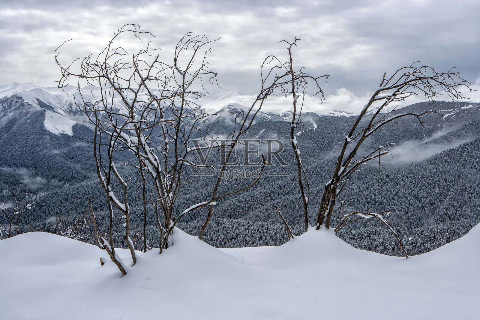 蒙古冬季照片摄影图片