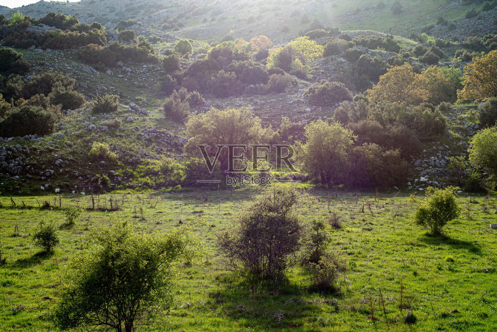 Tzoumetka，伊庇鲁斯，希腊- 2018年3月29日:绿色山谷照片摄影图片