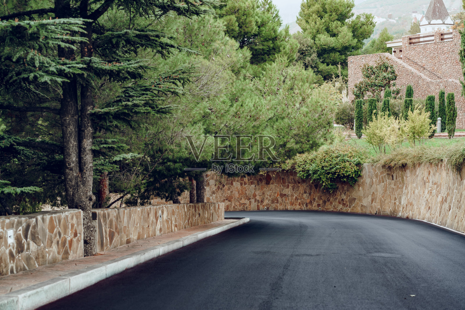 风景如画的混凝土坡道，两旁有植物照片摄影图片