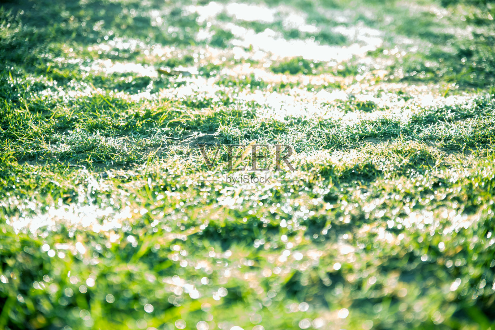 抽象绿色圣诞散景背景照片摄影图片