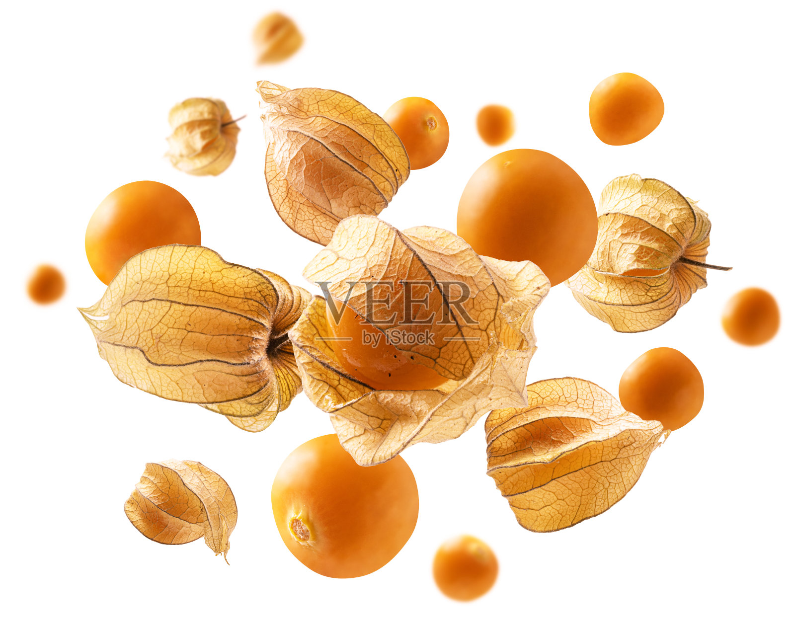 酸浆浆果漂浮在白色的背景上照片摄影图片