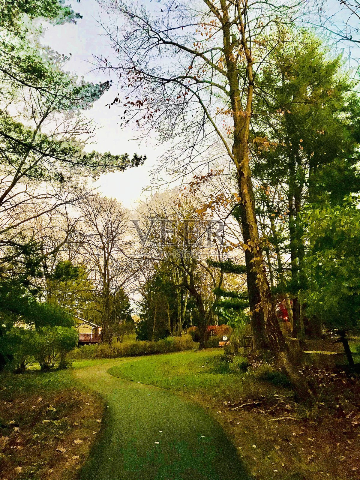 在东海岸的秋天照片摄影图片