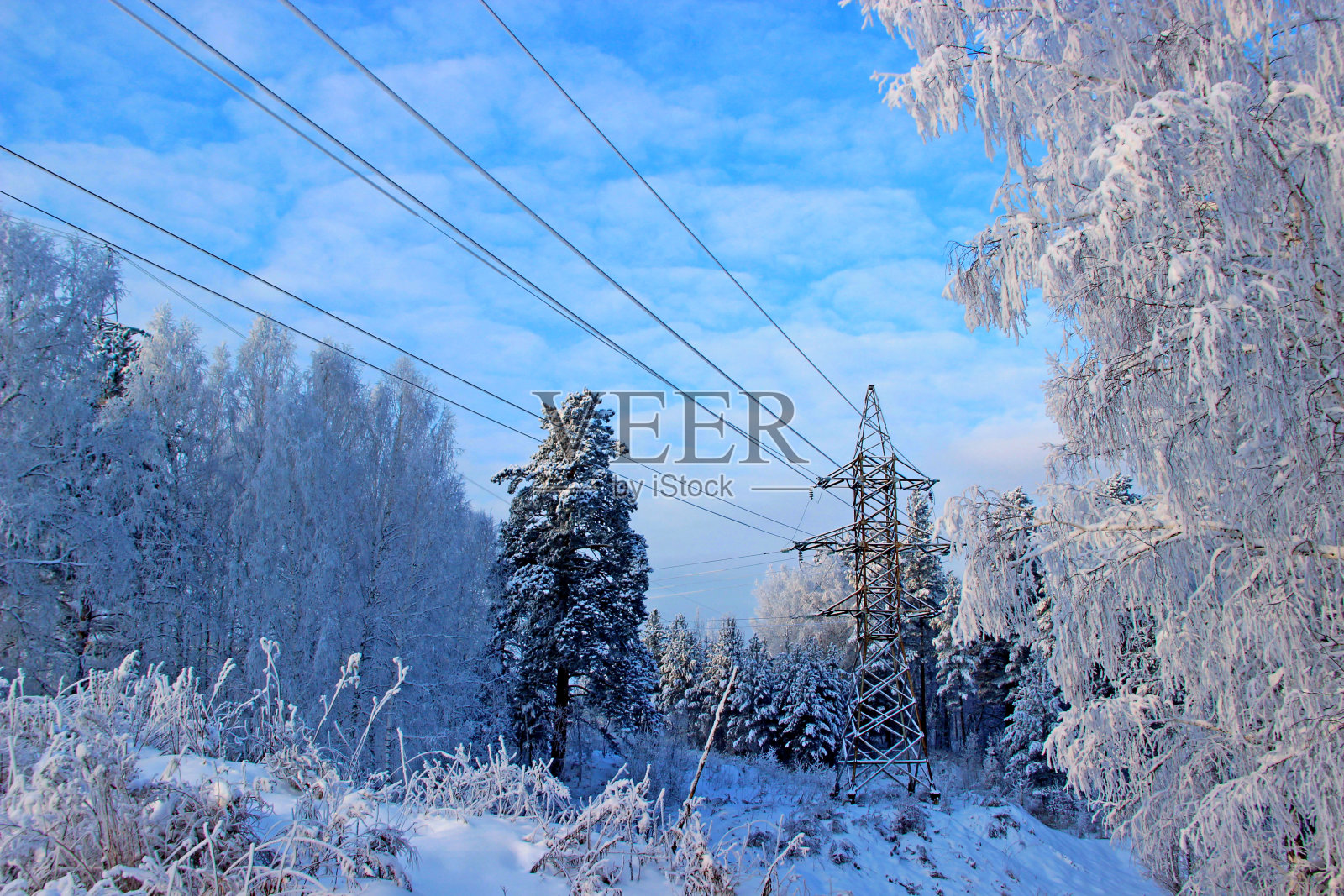 在冬天的森林里，钢丝支撑的钢架电力线。照片摄影图片