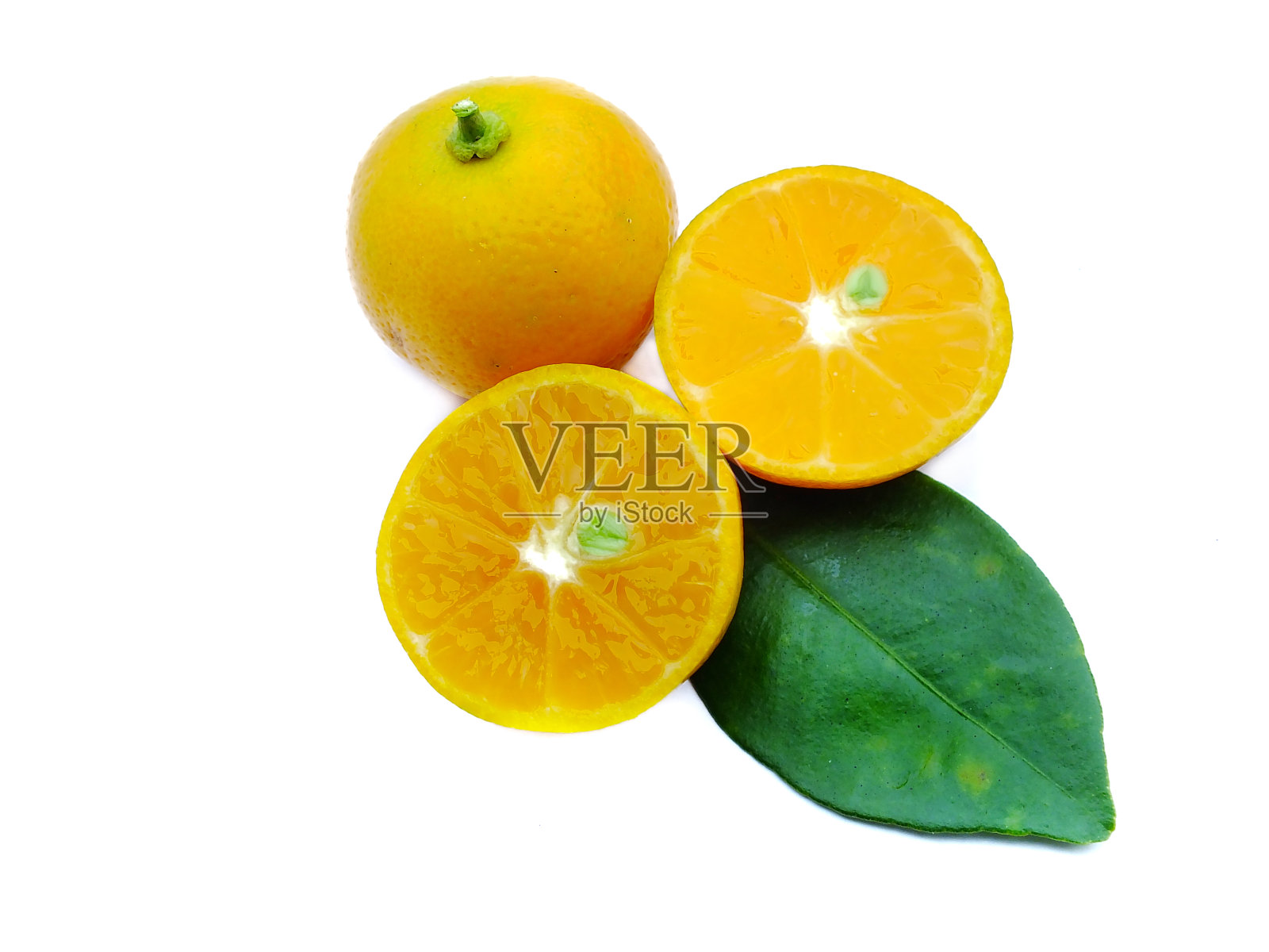 橙色，白色背景下的叶子。照片摄影图片