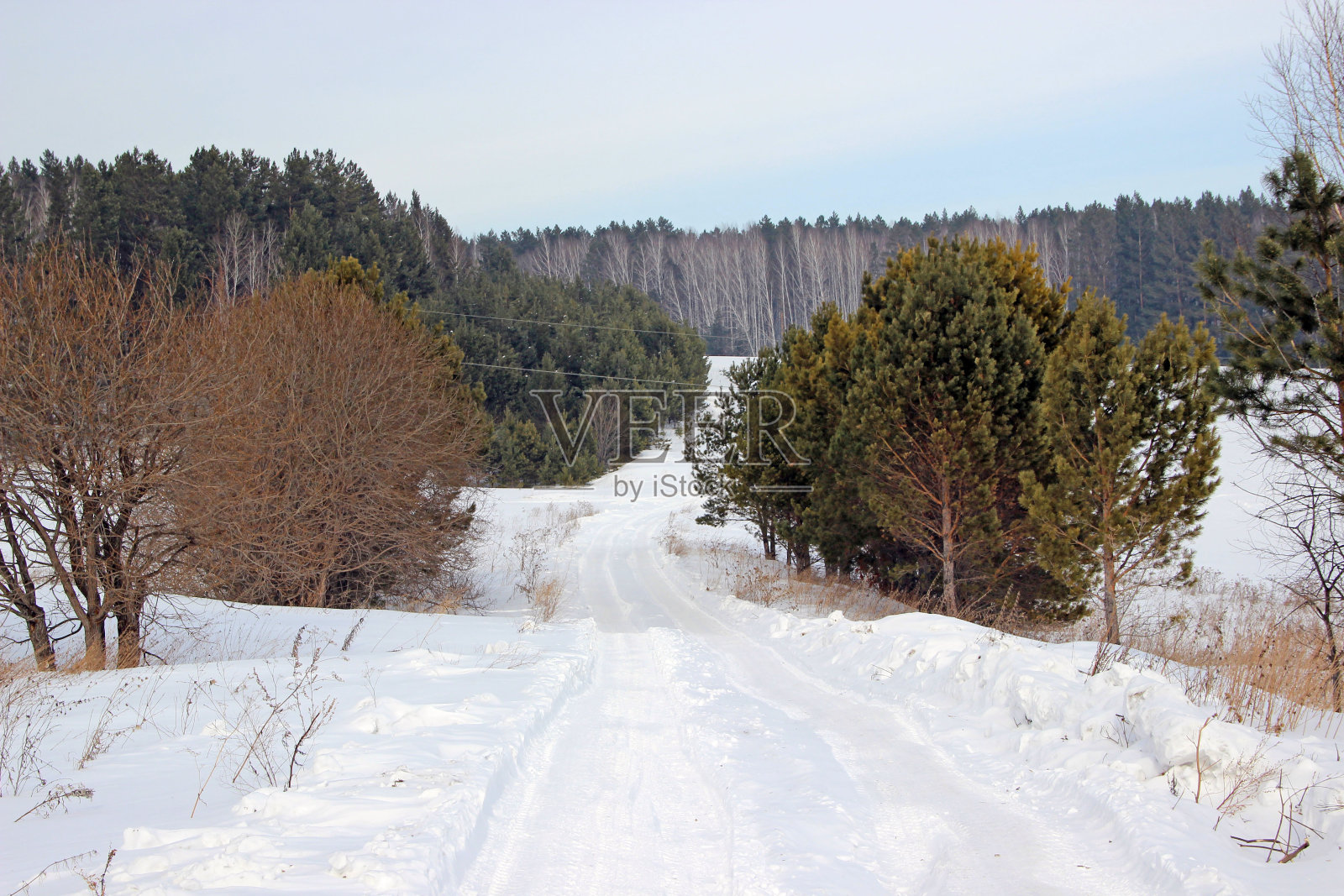 冬季森林。在照片â的中央蜿蜒的道路上，覆盖着积雪。路边种着灌木。树枝上没有雪。照片摄影图片