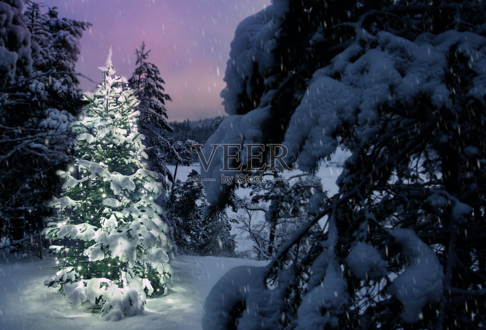 挂满彩灯的圣诞树照片摄影图片