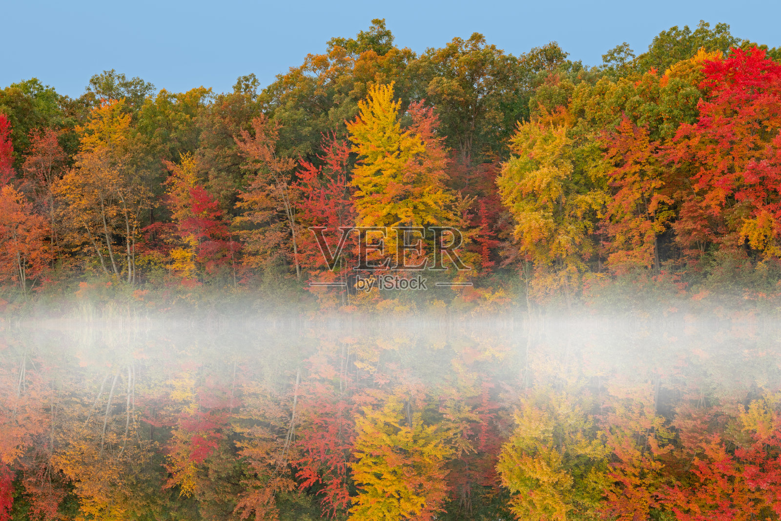 秋天的倒影麦当劳湖照片摄影图片