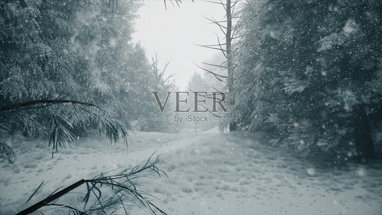 冬天的森林里飘着雪花，温柔可爱的圣诞节早晨飘着雪花。冬天的风景。白雪覆盖着树木和小径。雾。超逼真3d插图照片摄影图片