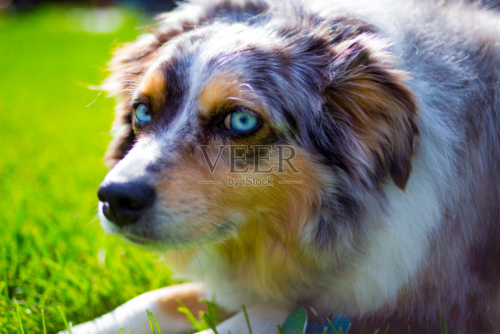 犹他州生活方式照片摄影图片