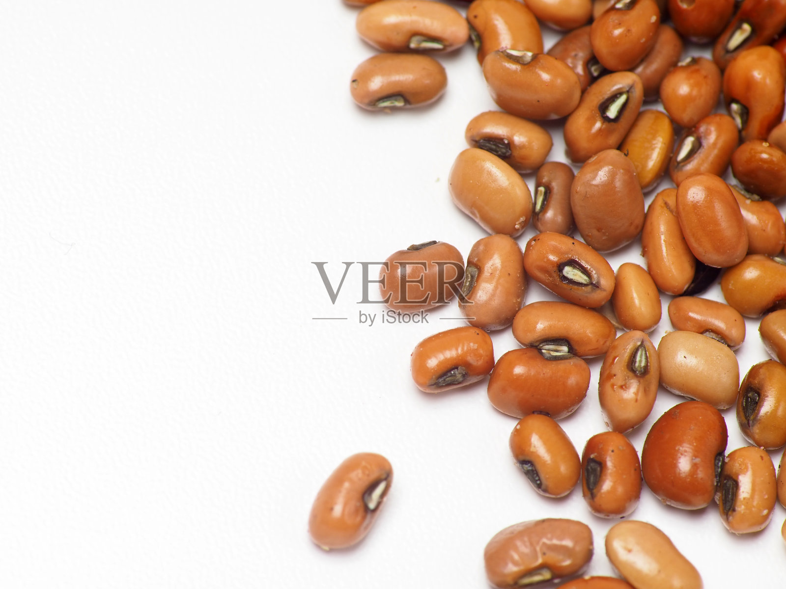 白底红豆的特写镜头照片摄影图片