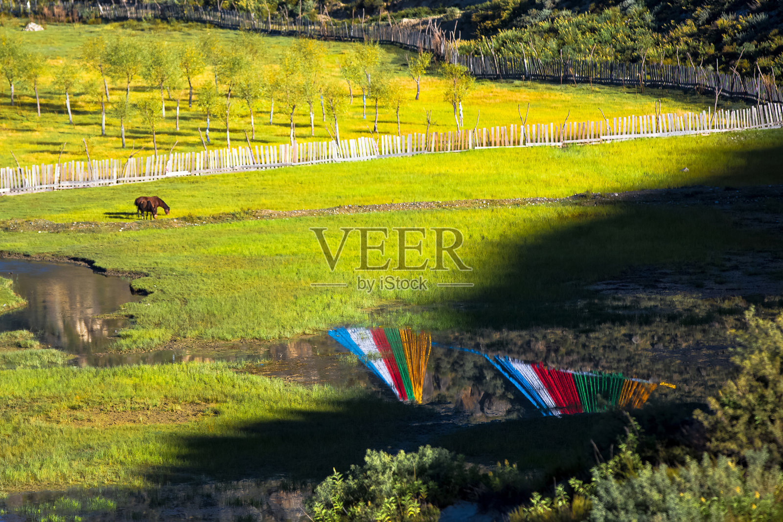 美丽的尼阳河和中国西藏的湿地照片摄影图片