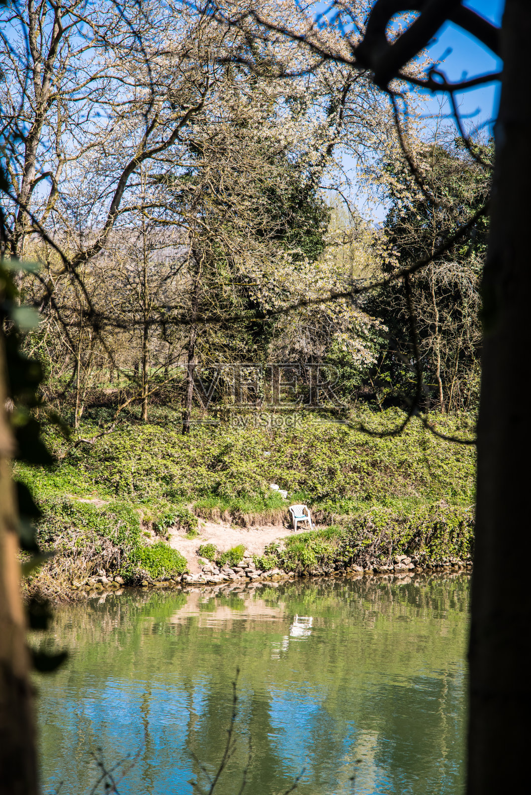 绿色河岸上的白色花园椅照片摄影图片
