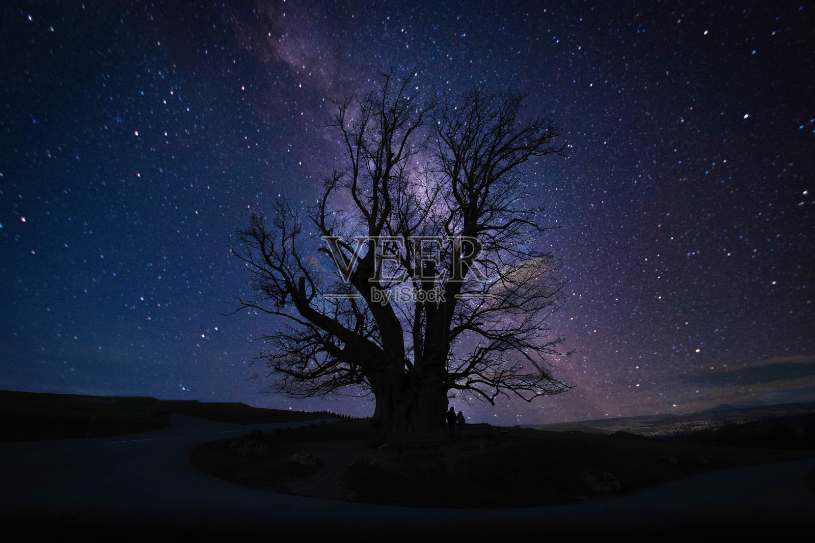 一棵671年的古树照片摄影图片