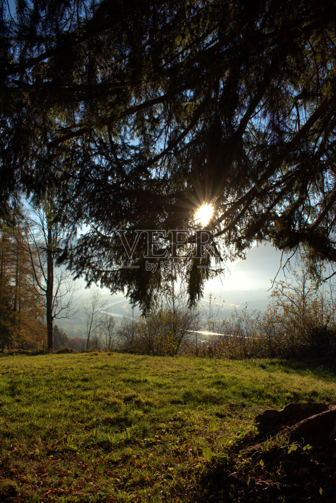 2020年11月18日，列支敦士登特里森贝格的秋天心情照片摄影图片