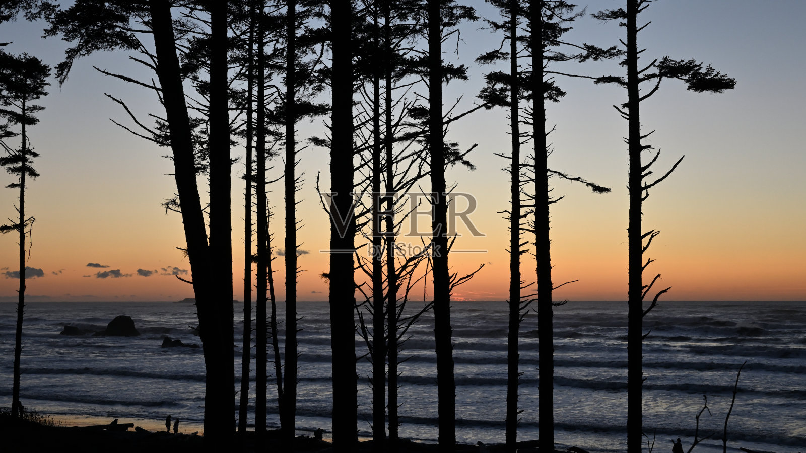 轮廓在日落时分照片摄影图片