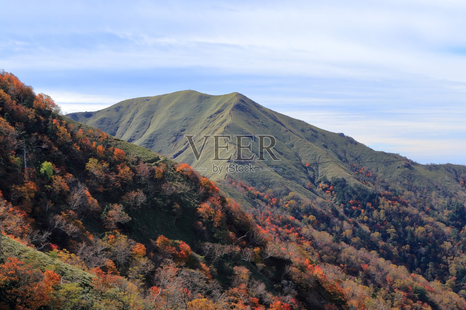 鹤木山秋叶美丽，次江山竹草美丽(德岛县)照片摄影图片