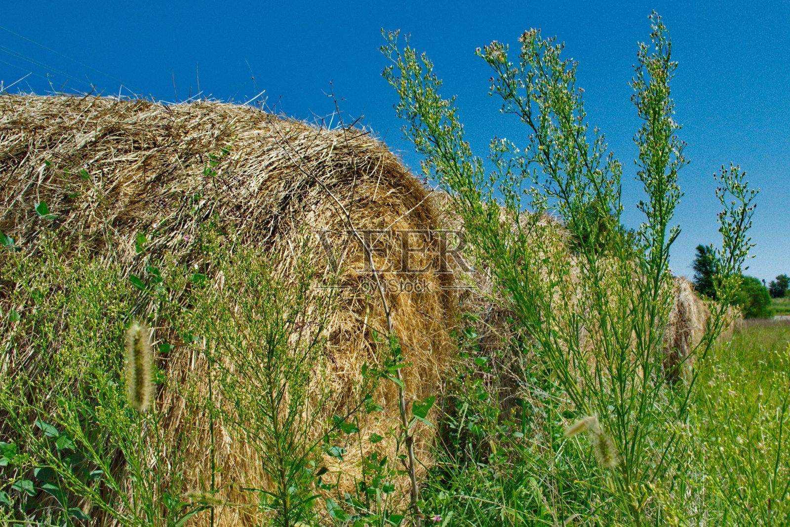 近距离观察干草包照片摄影图片