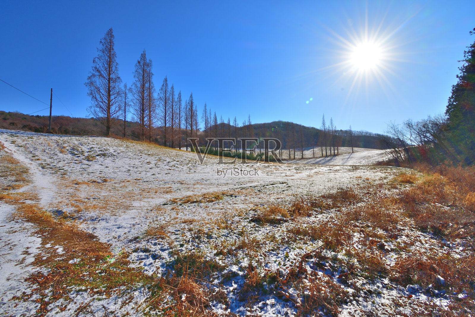 冬季景观湖照片摄影图片