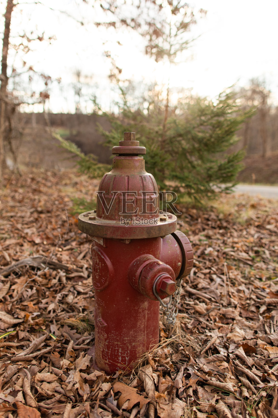 杰克逊俄亥俄州覆盖秋叶的复古红色消防栓，温馨圣诞节（2020年）照片摄影图片