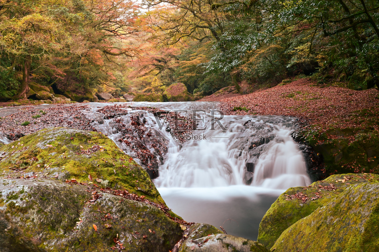 秋天清爽的菊池峡谷照片摄影图片