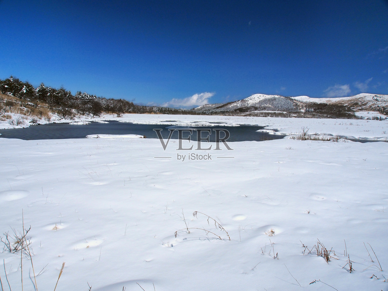 春白雪覆盖的沼泽照片摄影图片