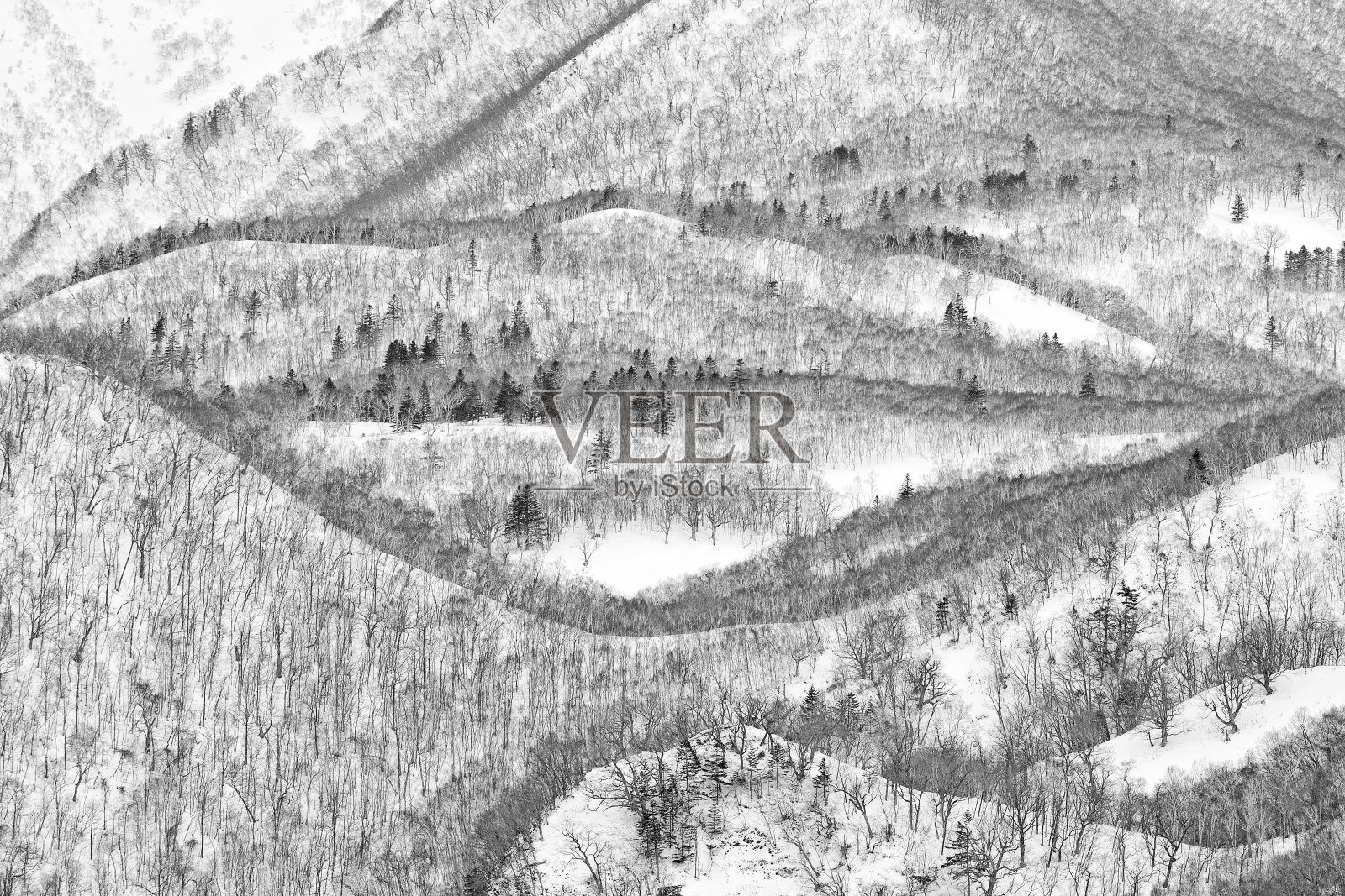 日本冬天的风景，山上有树和雪。罗须山位于北海道南室副县梅纳西区。来自日本的美丽冬季景观。Mistic寒冷的自然。照片摄影图片