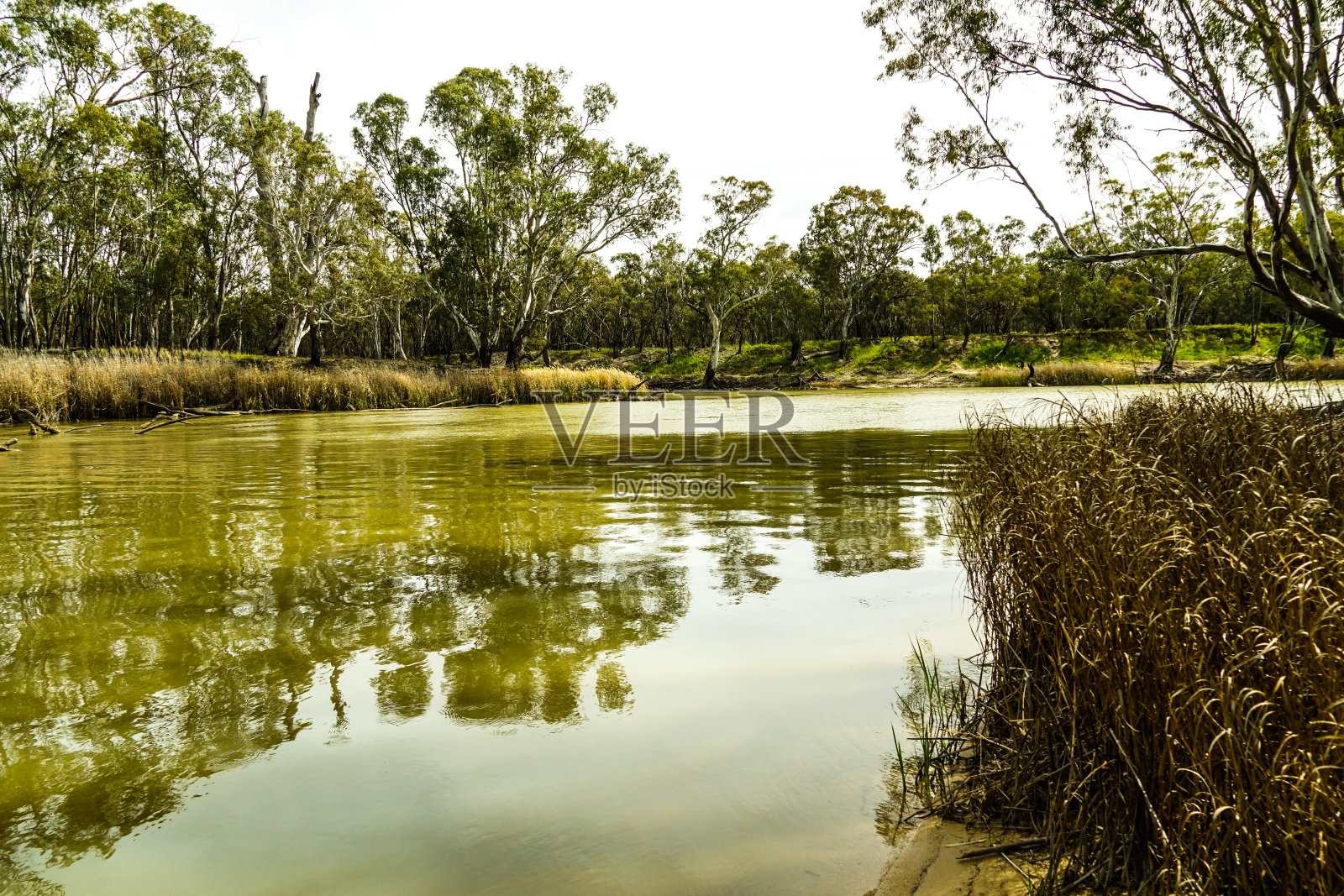 迪尼利昆，新南威尔士，澳大利亚照片摄影图片