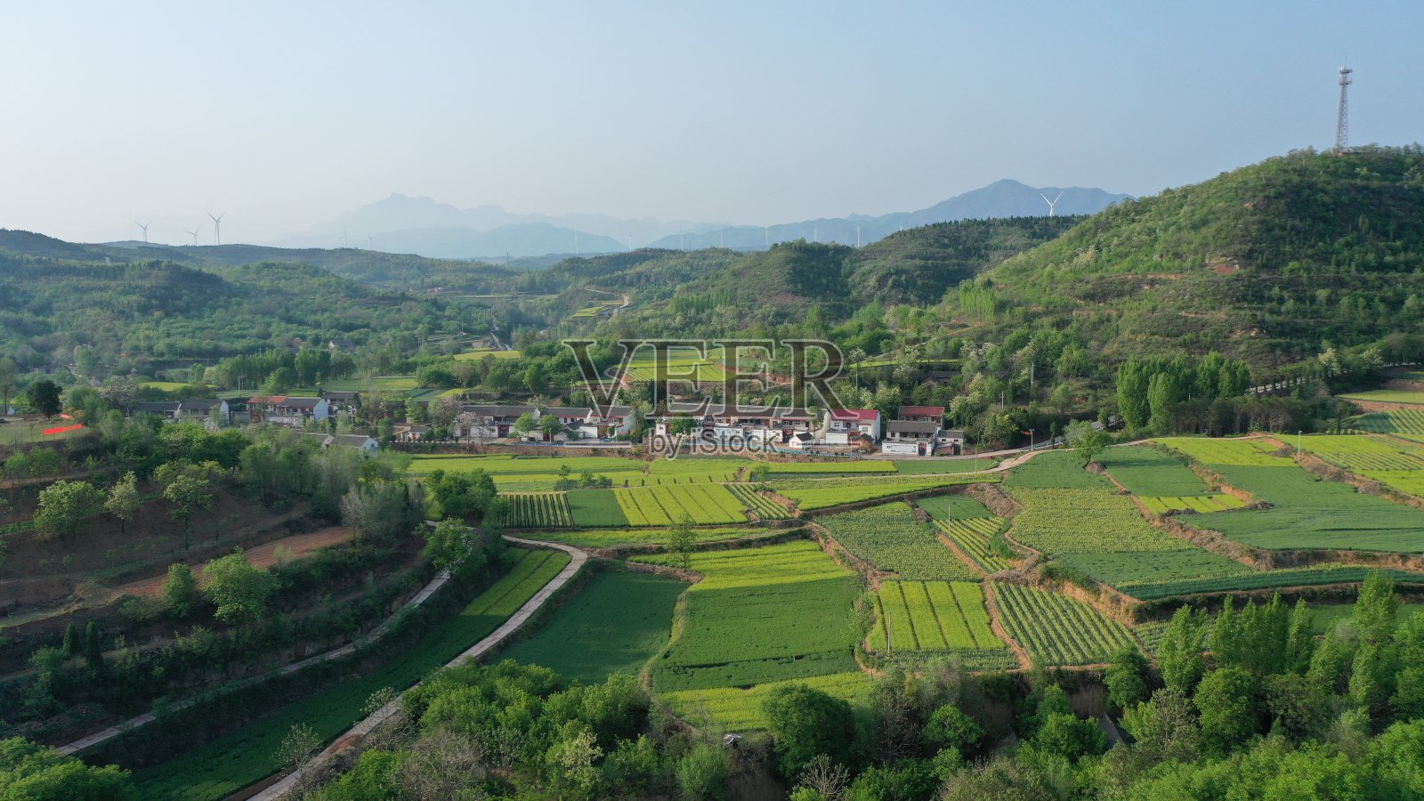 清晨美丽的乡村与绿色的农田景观照片摄影图片