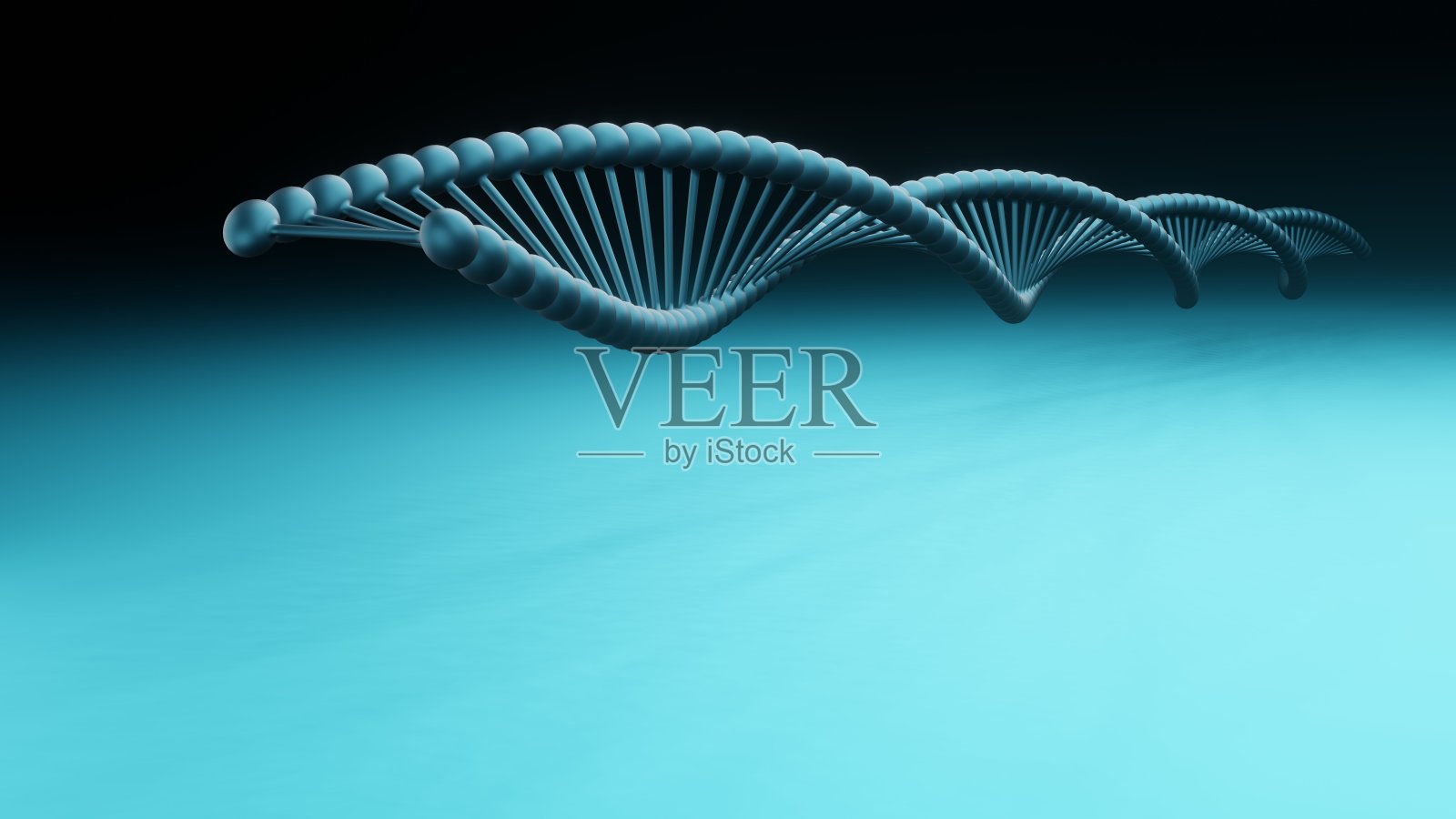 DNA。摘要三维多边形线框DNA分子。照片摄影图片