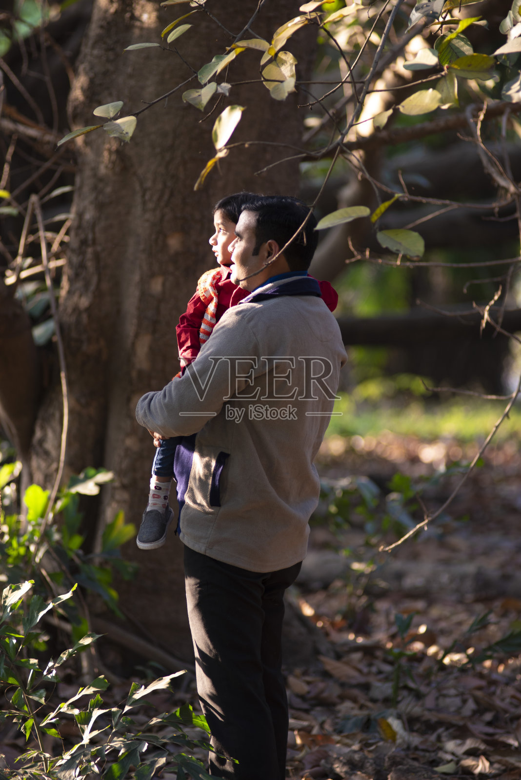 一个深褐色的印度父亲和他的孩子在冬天的下午享受自己在森林背景的干草地上。照片摄影图片