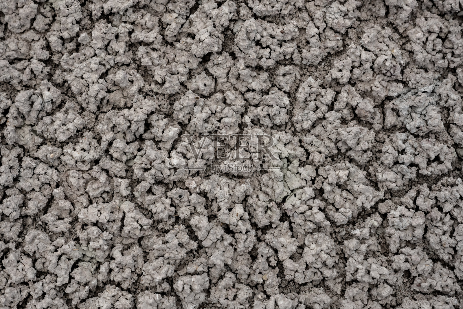 干燥的沙漠碎片的特写照片摄影图片