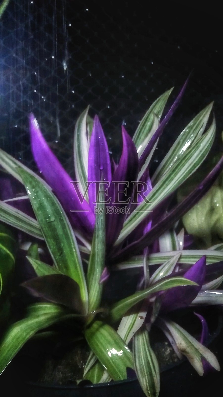 工厂15照片摄影图片