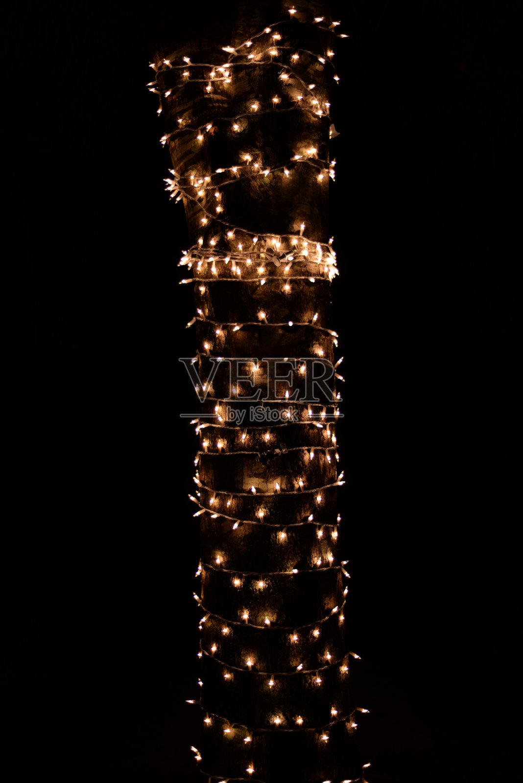 树和灯照片摄影图片