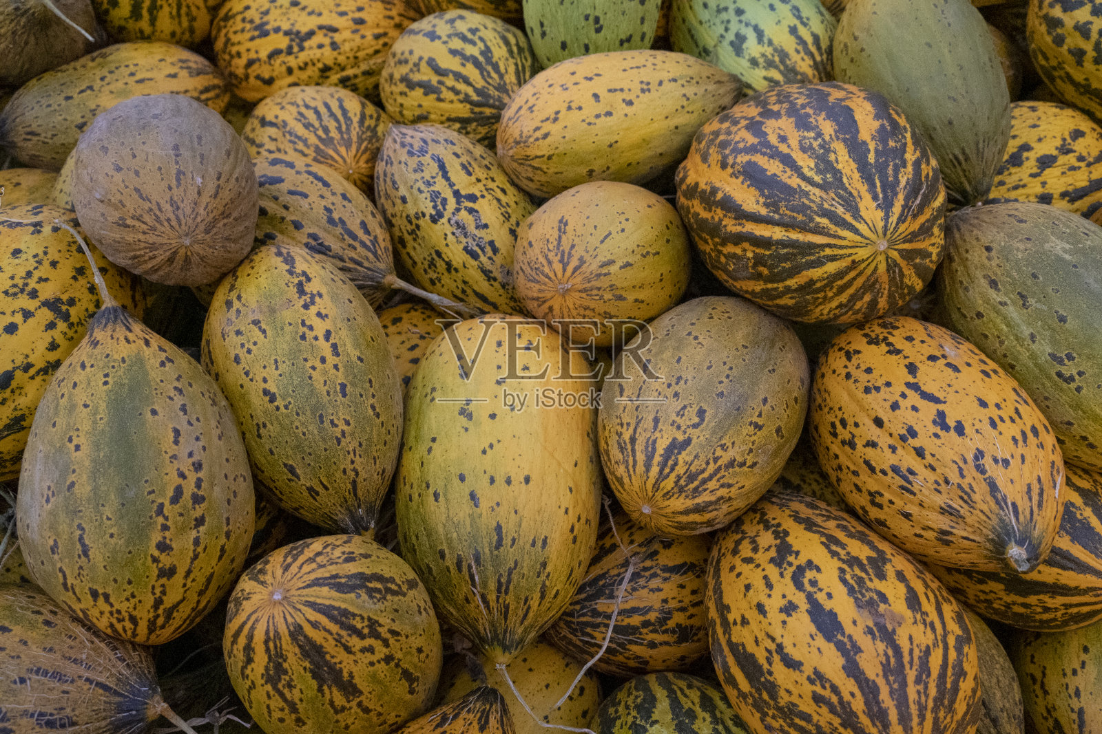 甜瓜市场摊位照片摄影图片