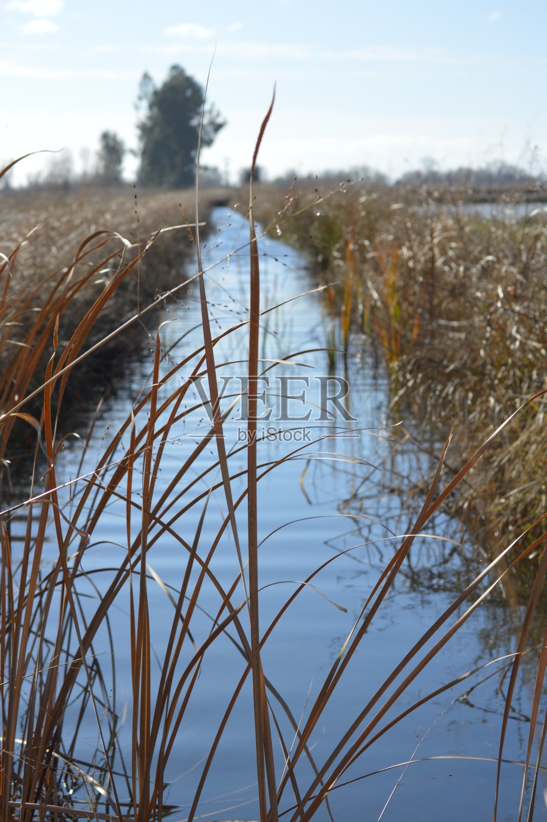 国家风景照片摄影图片
