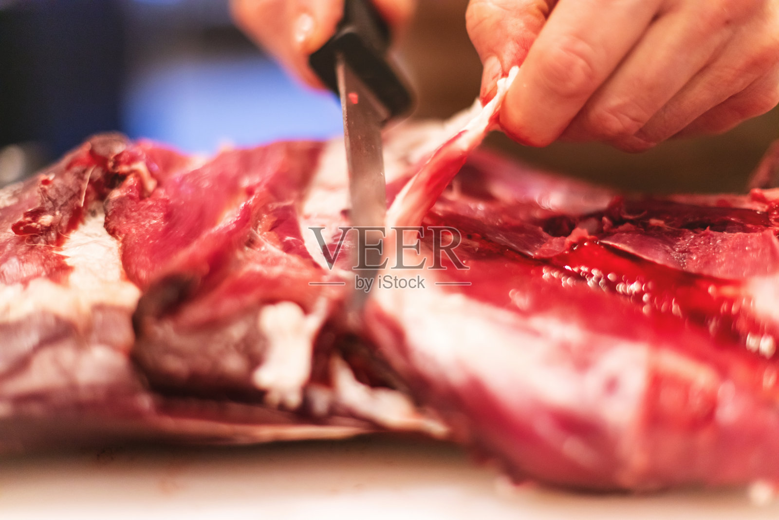 屠宰和加工野生猎物骡子鹿肉在西部科罗拉多狩猎收获照片系列照片摄影图片