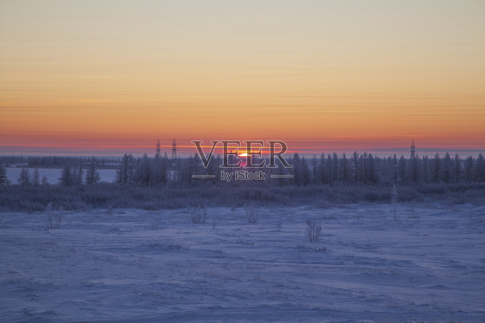 美丽的冬季风景，树上结霜，初雪，调色照片摄影图片