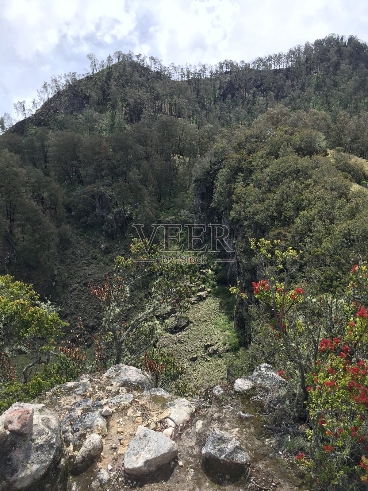 山表面照片摄影图片
