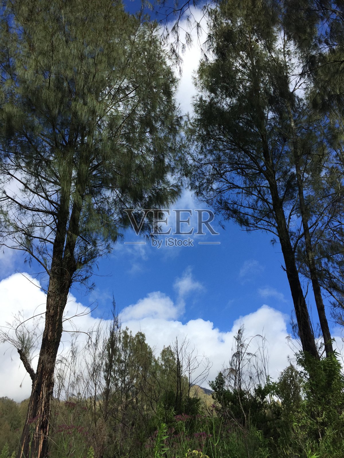 山照片摄影图片